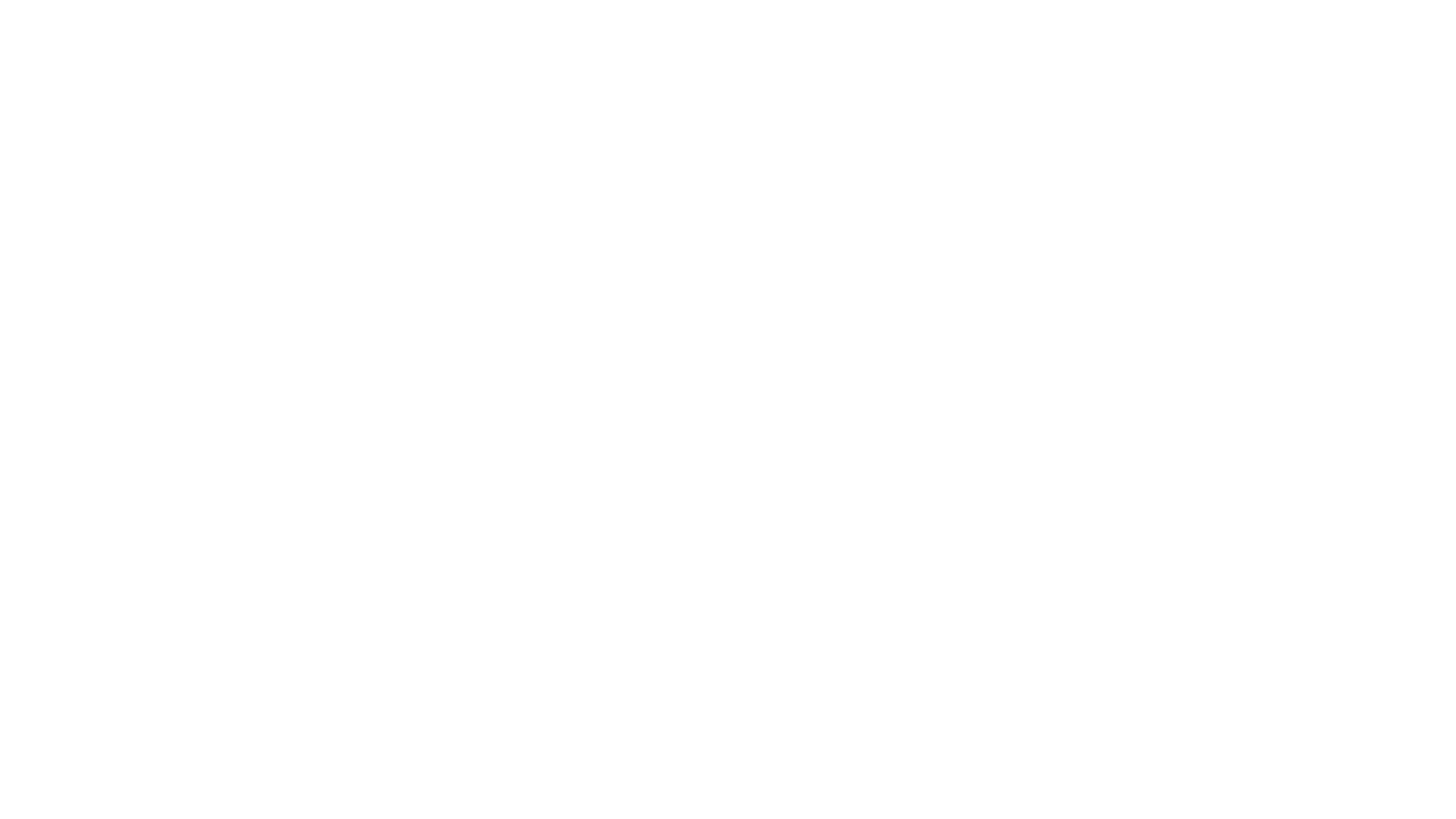 Ftv City Partner logo