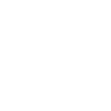 Vision icon